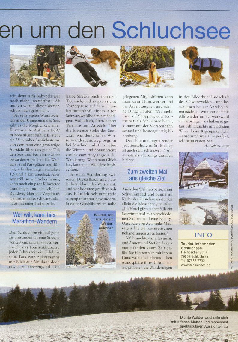 SchwarzwaldReisebericht_2b