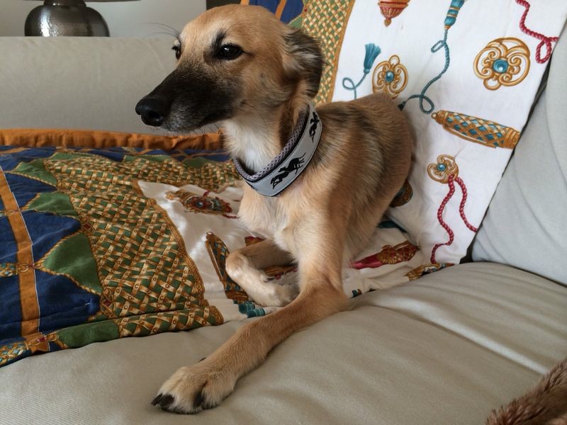 altAn0mXkUgG64OsM2oqqT9KYcsi9fN2fiaN4LPoe7KDkyF