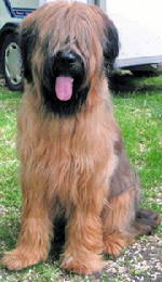 Ayko Juni bearbeitet