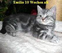 Emilio10W