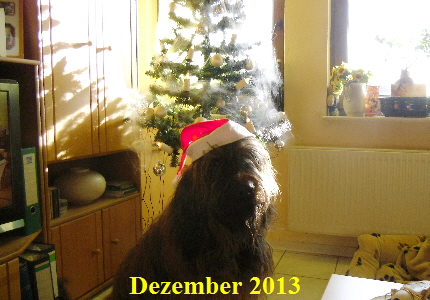 Geschwisterbild20131