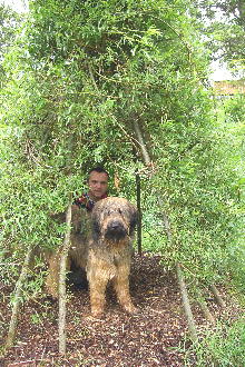 Hjorring Bot Garten Alfi2