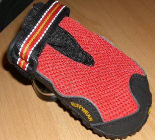 Hundeschuh1