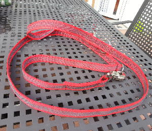 Leine rot1