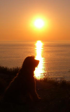 Sonnenuntergang ALfi 1