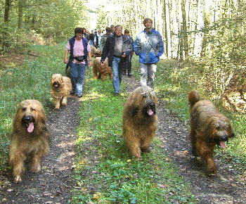 Spaziergang081006_13