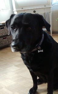 altAq0ErHTyJBsFtp1oYNaRH2G-eFeWDC5DtmB4pE1KoAM4