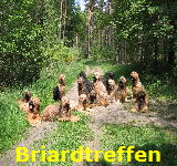 Briardtreffen