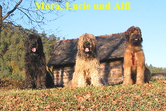 061105Mora_Lucie_Alfi_1