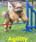 Agility