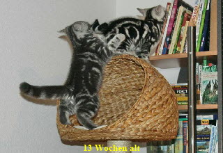 01.12.096kverd.