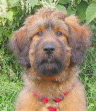 03092005_16Wochen2