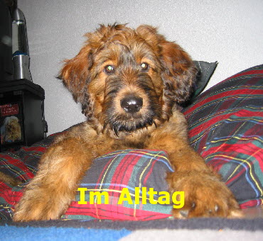 Im Alltag