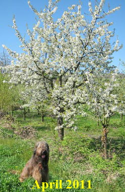 09.04.112verd.